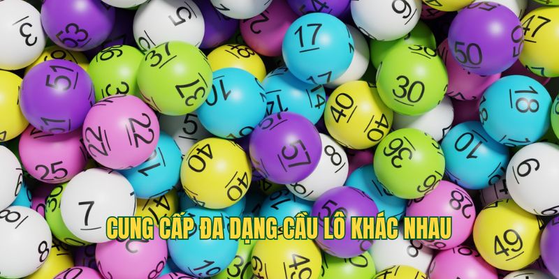 Cung cấp đa dạng cầu lô khác nhau