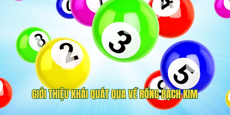 Giới thiệu khái quát qua về Rồng Bạch Kim